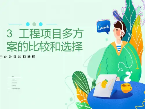 工程项目多方案的比较和选择