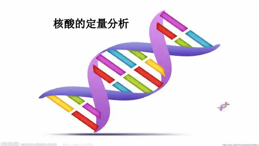 核酸的定量分析方法