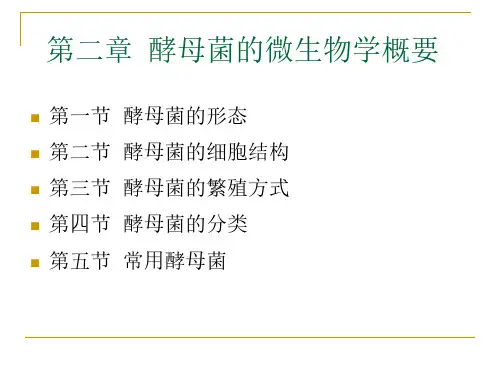 2酵母工艺学 第二章 酵母菌的微生物学概要