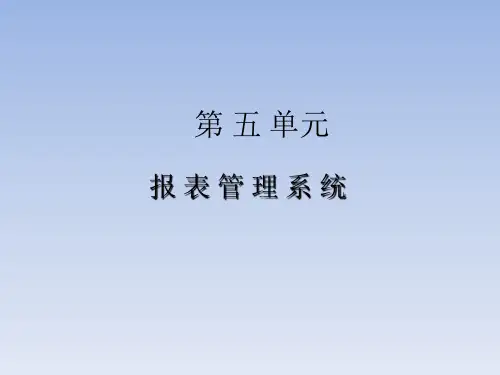 报表管理系统