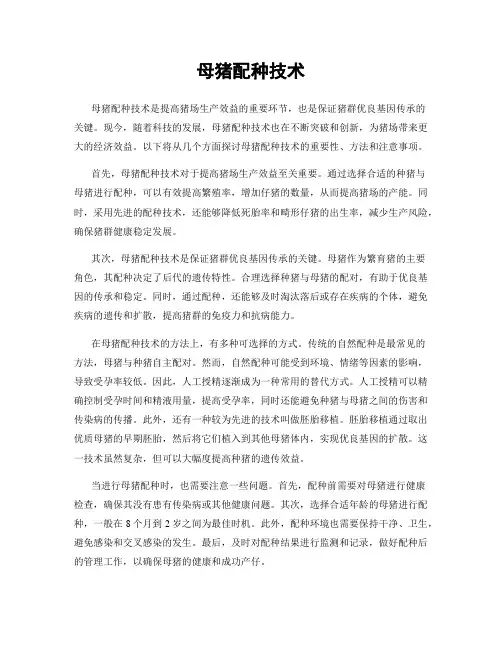 母猪配种技术