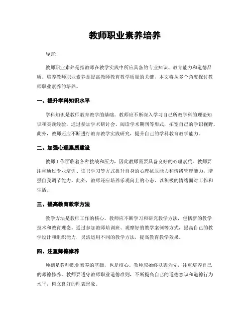 教师职业素养培养