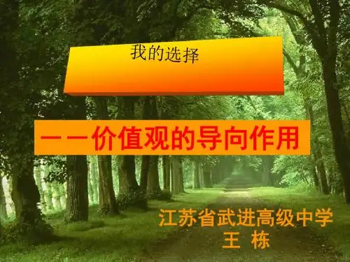 价值观的导向作用PPT课件5 人教课标版