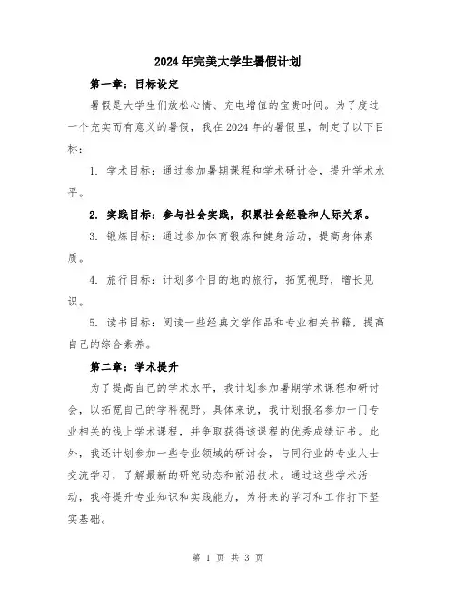 2024年完美大学生暑假计划