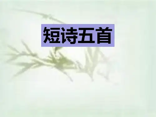 九年级语文下册《短诗五首》 (完整)PPT课件