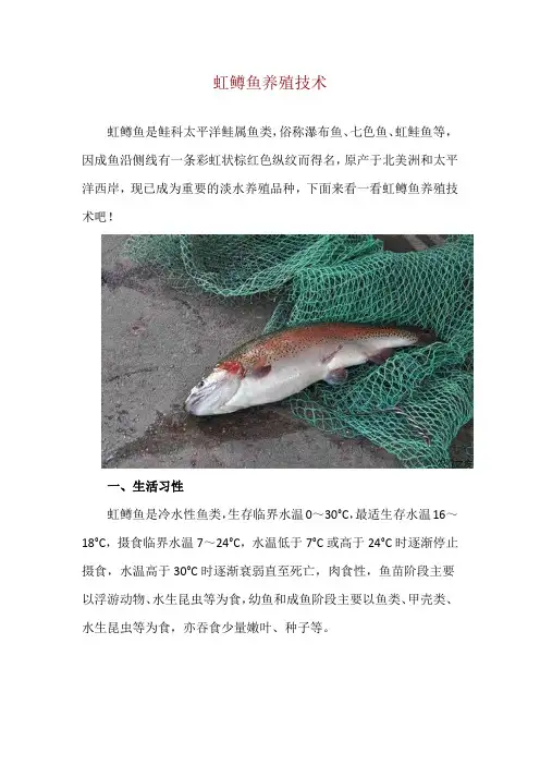 虹鳟鱼养殖技术