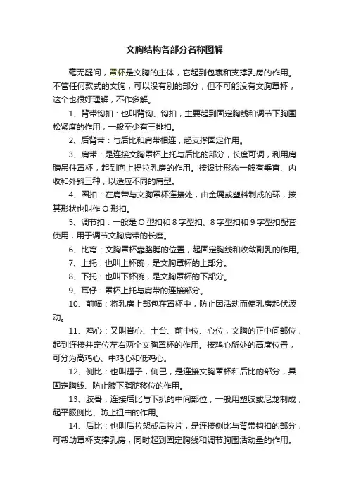 文胸结构各部分名称图解