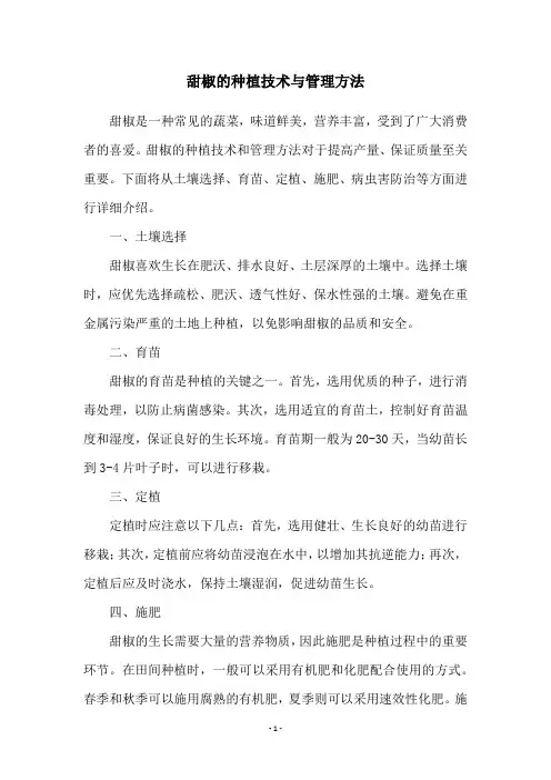 甜椒的种植技术与管理方法