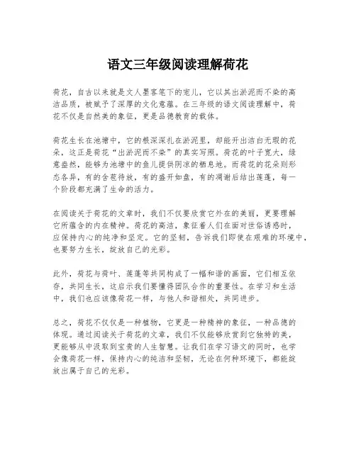 语文三年级阅读理解荷花