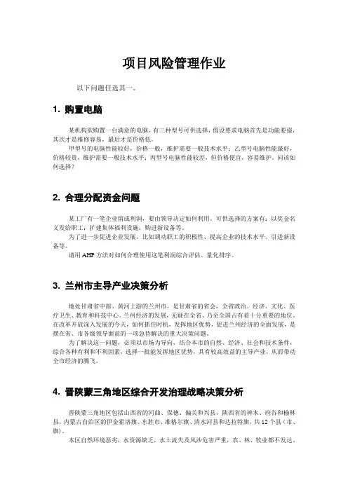项目风险管理作业