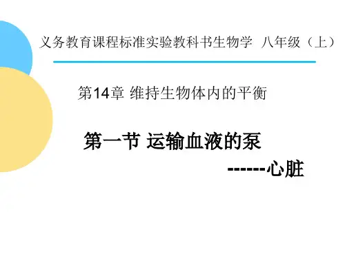 心脏的结构和功能说课 ppt课件