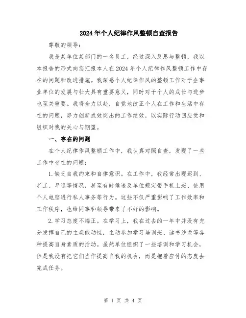 2024年个人纪律作风整顿自查报告