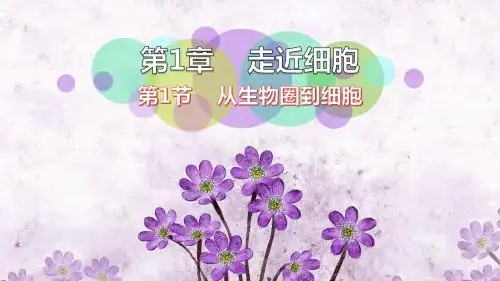 人教版高中生物必修1-1.1《走进细胞》公开课课件