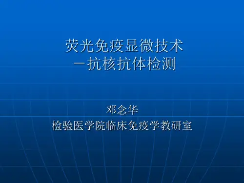 荧光显微镜技术-抗核抗体检测2
