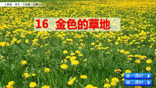 部编人教版三年级语文上册第16课《金色的草地》精美PPT课件