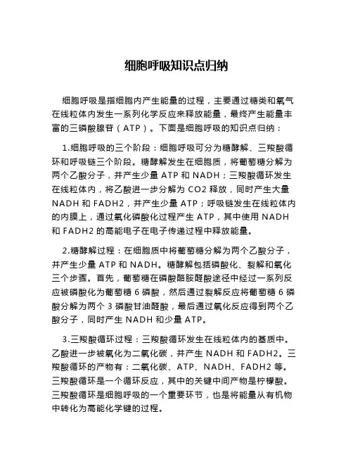 细胞呼吸知识点归纳