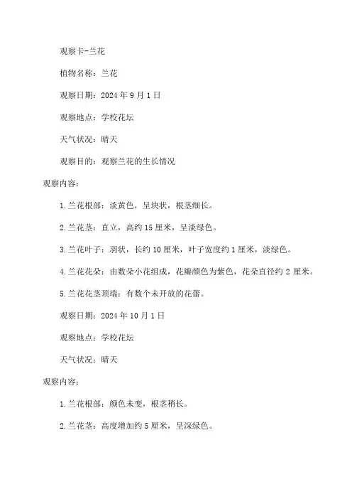三年级观察植物记录卡兰花