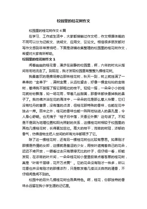 校园里的桂花树作文