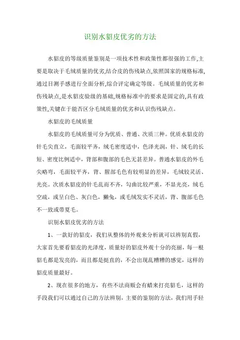 识别水貂皮优劣的方法