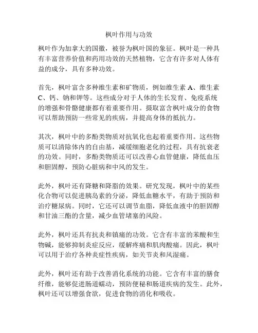 枫叶作用与功效