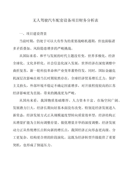 无人驾驶汽车配套设备项目财务分析表