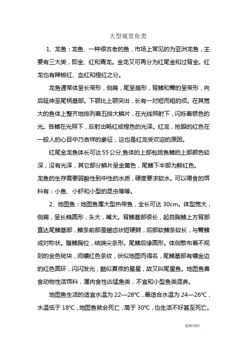 大型观赏鱼