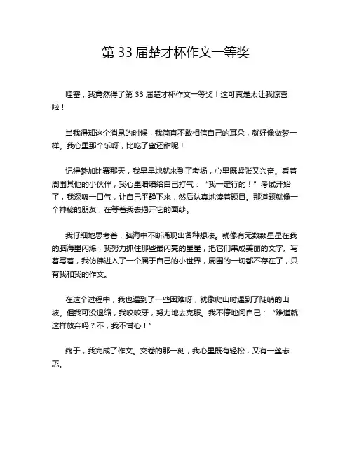 第33届楚才杯作文一等奖