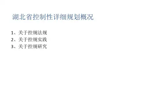 湖北省控制性详细规划概况。