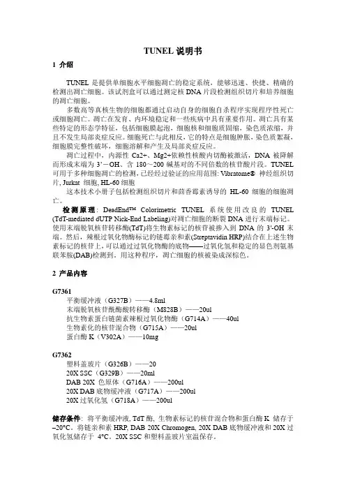 TUNEL说明书