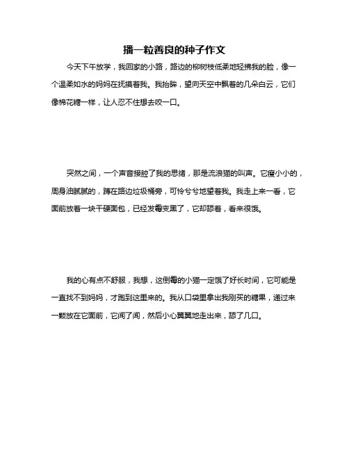 播一粒善良的种子作文