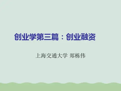 创业融资概述 (ppt 40页)