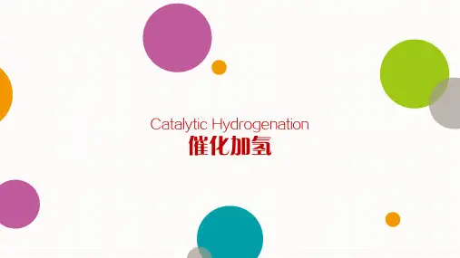 催化加氢hydrogenation unit