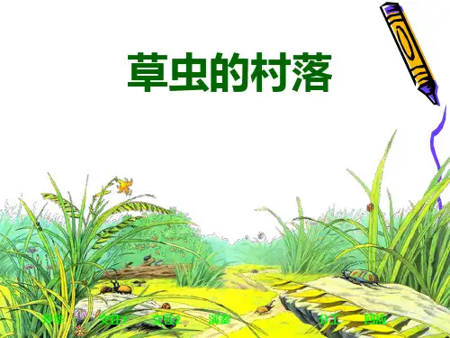 11313草虫的村落精品PPT课件