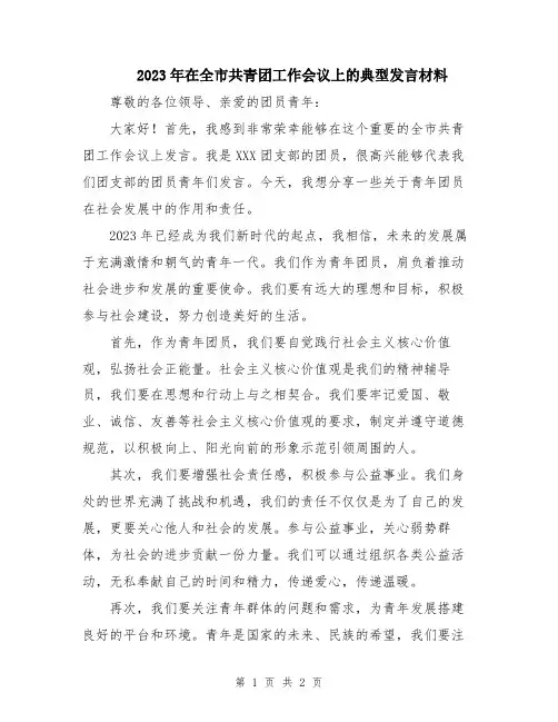 2023年在全市共青团工作会议上的典型发言材料