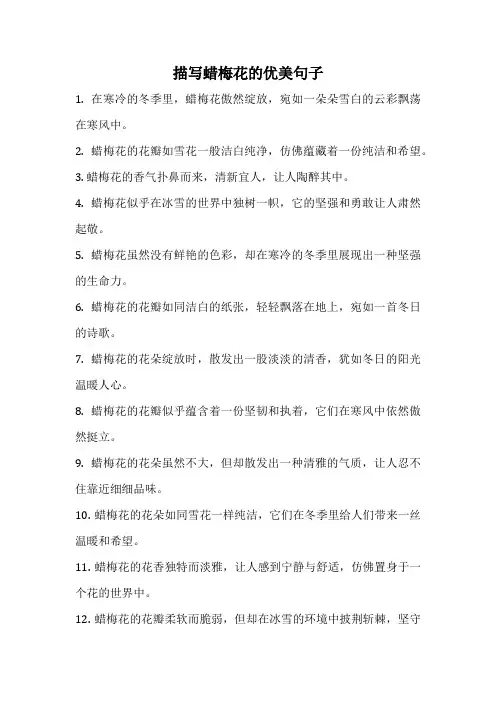 描写蜡梅花的优美句子