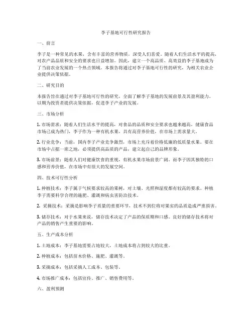 李子基地可行性研究报告
