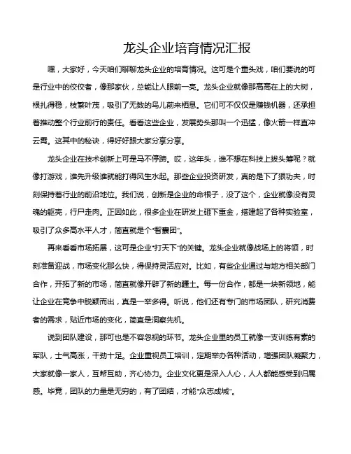 龙头企业培育情况汇报