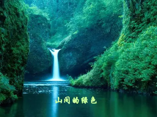 九年级语文上册 《囚绿记》课件 语文版