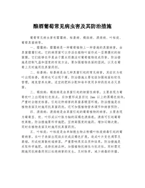 酿酒葡萄常见病虫害及其防治措施