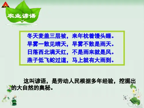 六年级下册语文课件-5.3《大自然的秘密》｜北师大版(共15张PPT)