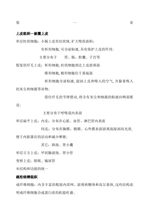 人体组织解剖学复习材料