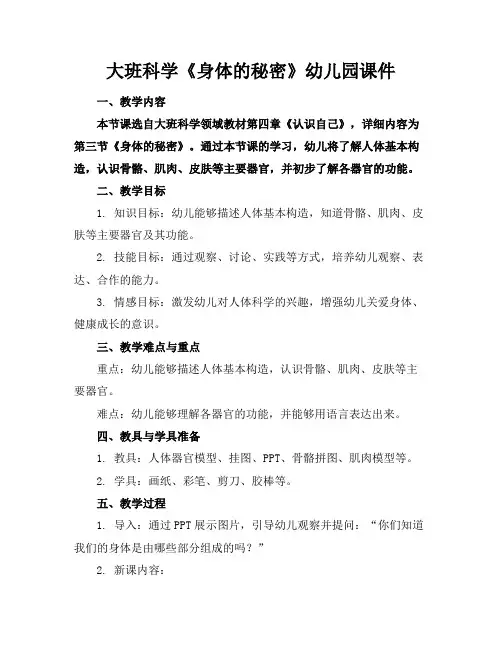 大班科学《身体的秘密》幼儿园课件