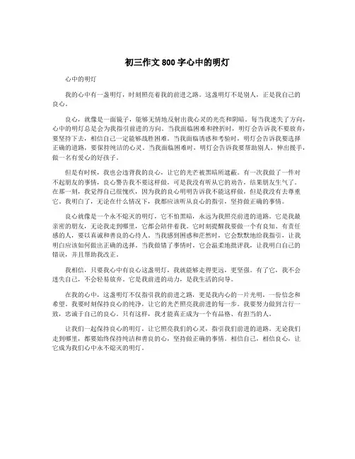 初三作文800字心中的明灯