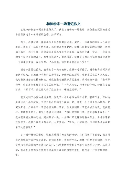 和植物来一场邂逅作文