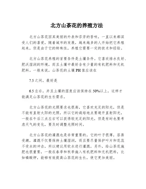 北方山茶花的养殖方法
