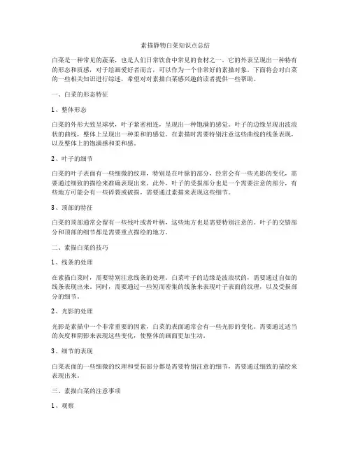 素描静物白菜知识点总结