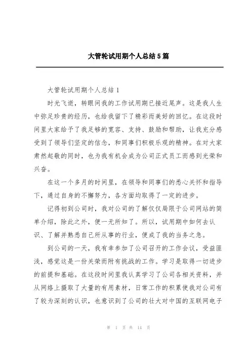 大管轮试用期个人总结5篇