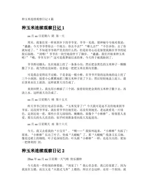 种玉米连续观察日记