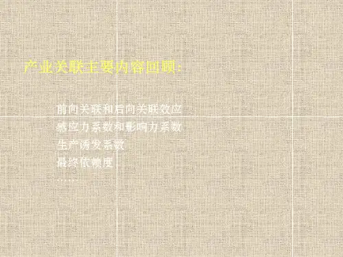 产业经济学产业关联实例分析