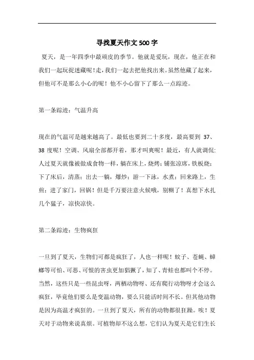 寻找夏天作文500字